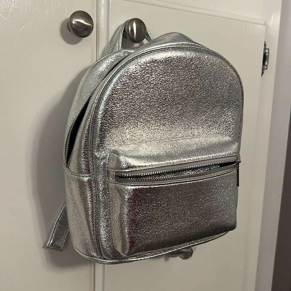 Silver Backpack